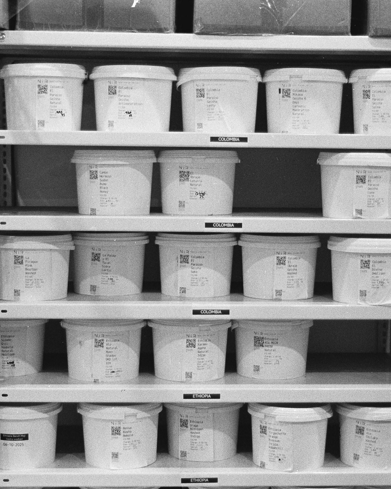 Racks of labeled green-bean buckets — the inventory behind every cup