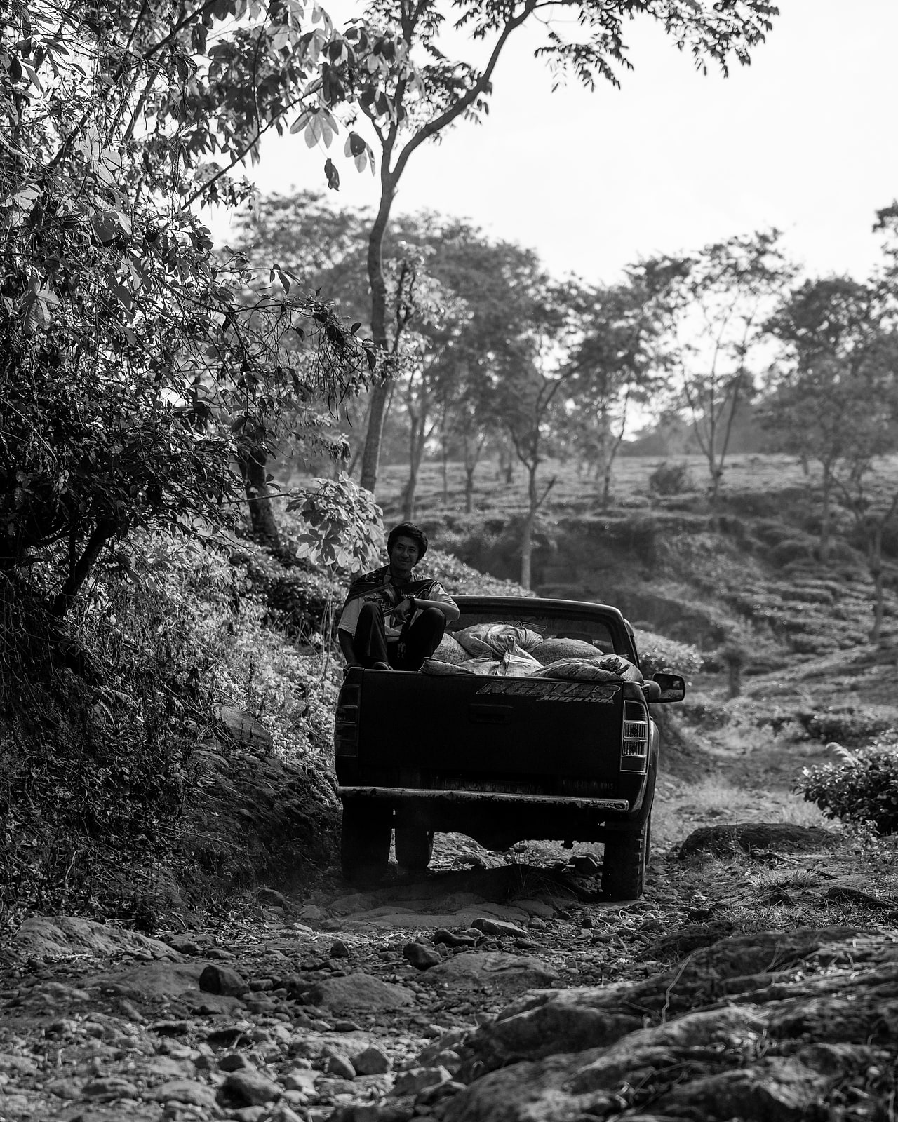 Indonesian forest road — the producing country we're representing