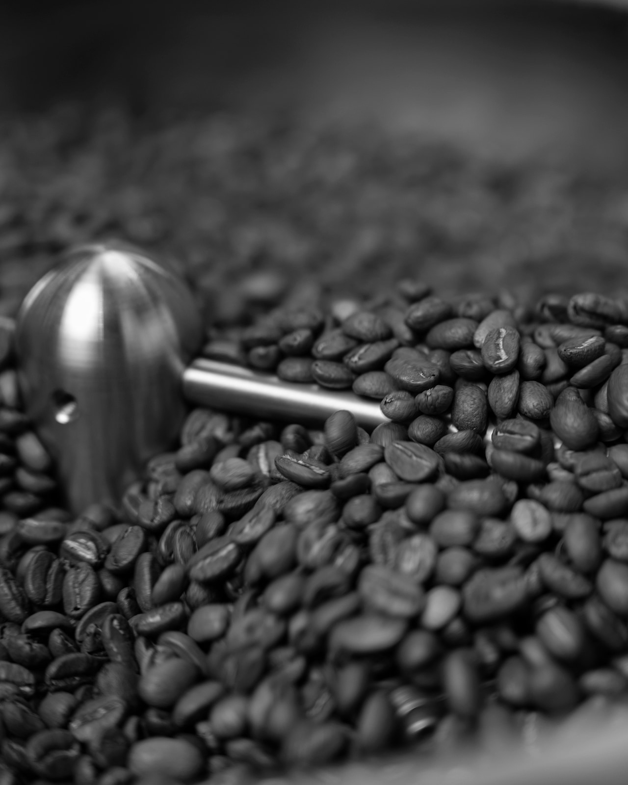 Wall of roast samples in jars — the search for the cup we couldn't find