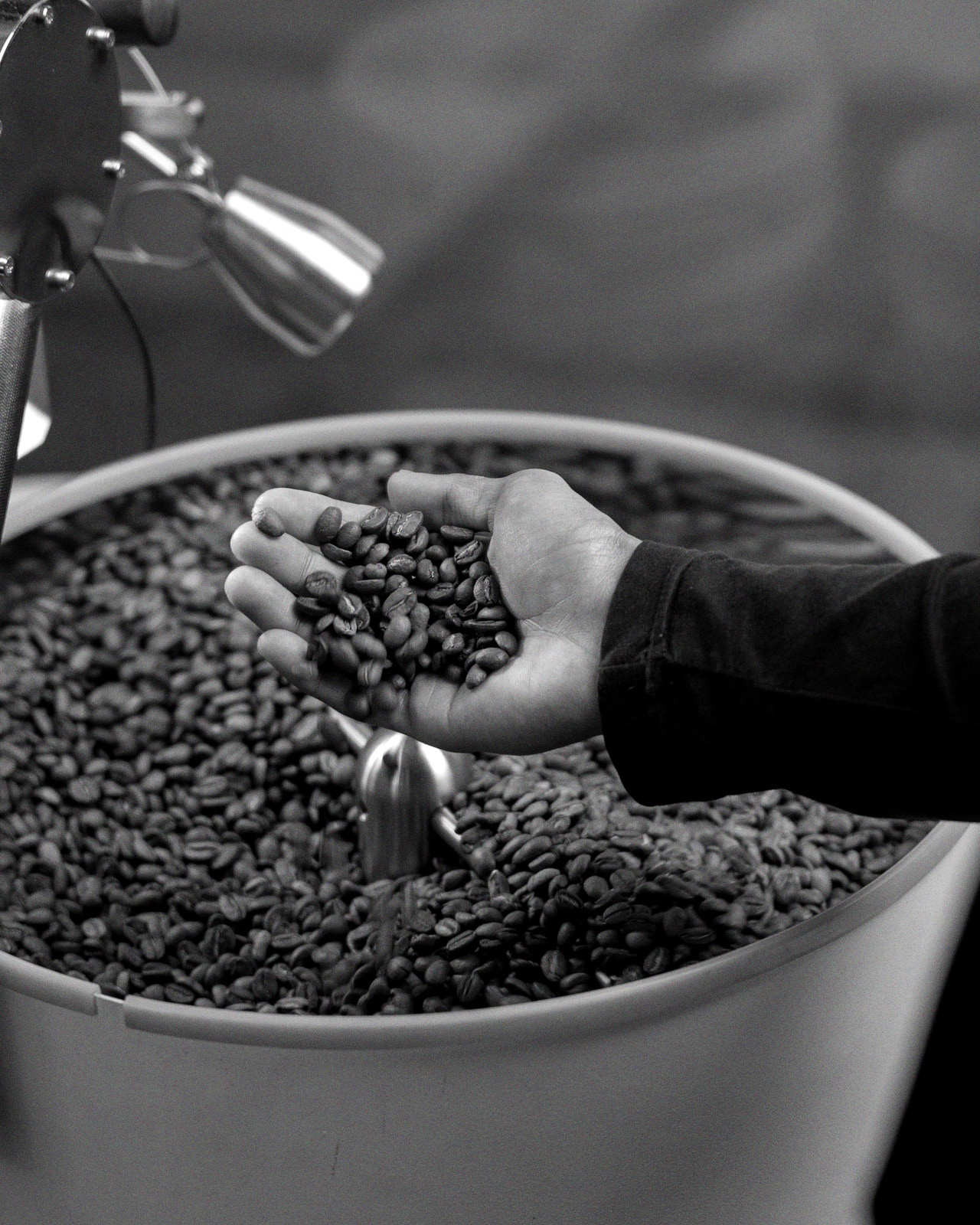 A roaster's hand cradling finished beans over the cooling tray