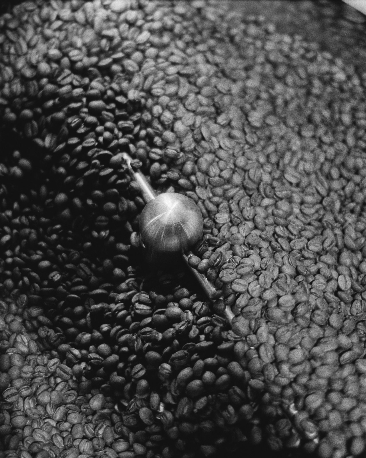 Beans tumbling under the cooler stirrer — heat going into the bean