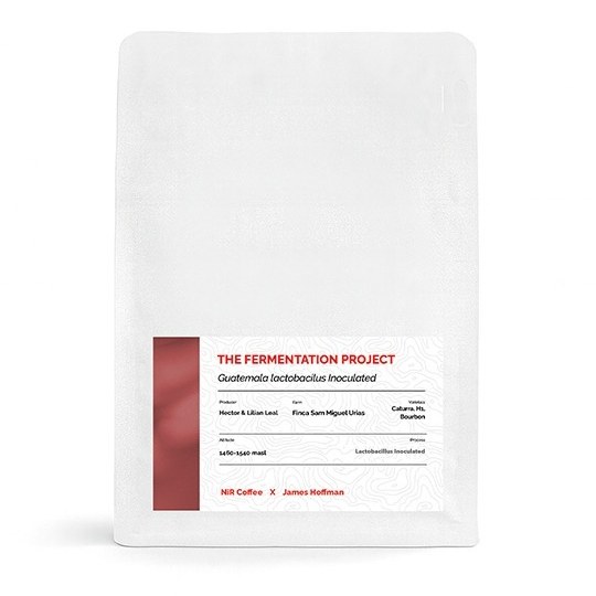 Lactobacillus-Inoculated — one of the four coffees in the tasting kit