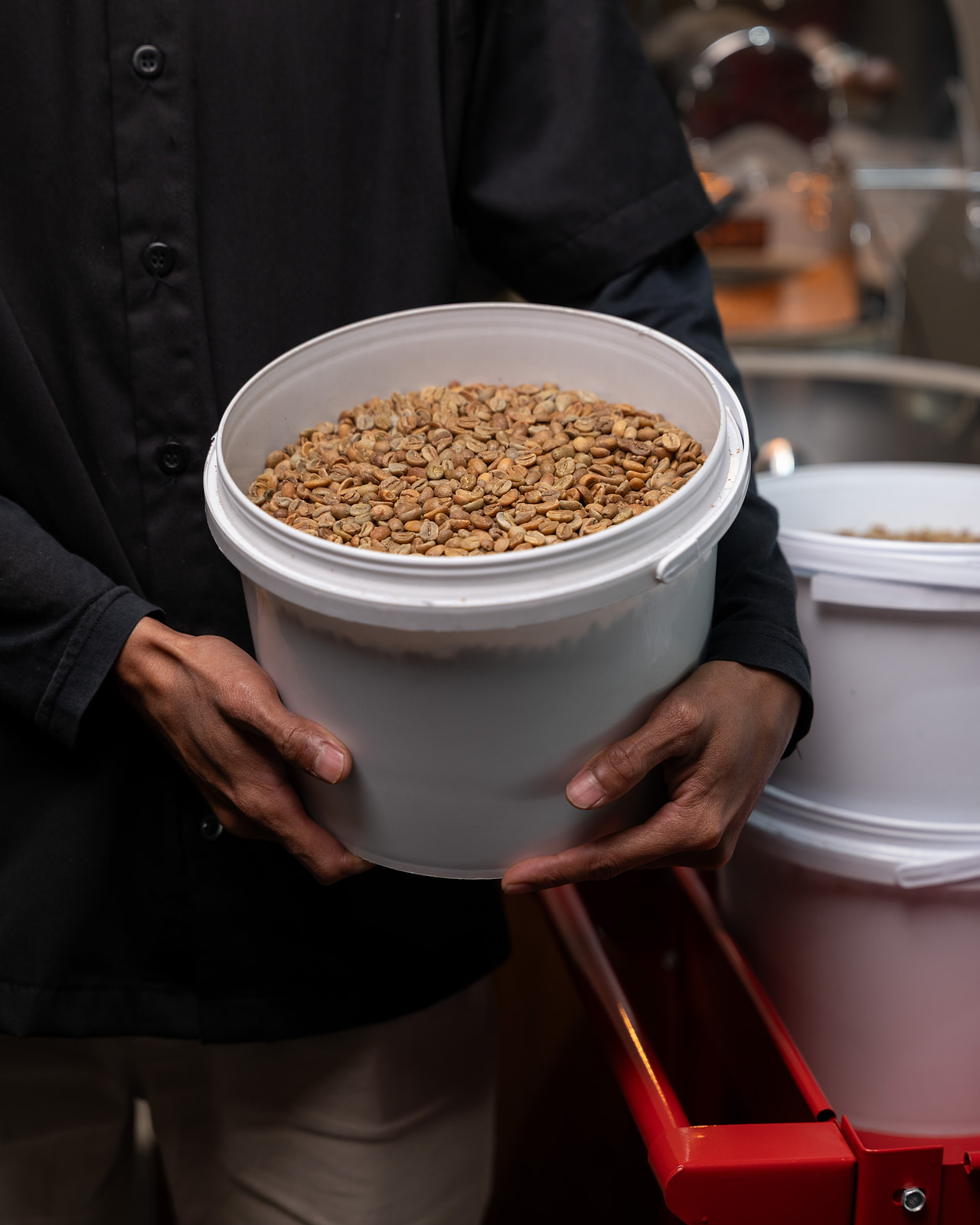 Hands cradling a bucket full of green beans — the raw cost in front of you